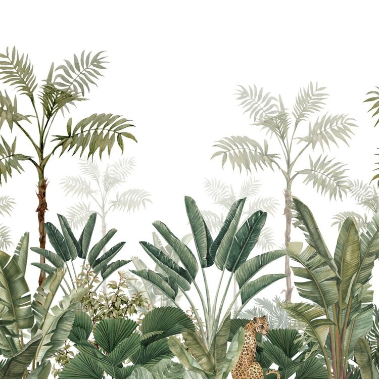 Stuart Graham Wallpaper Ranges
