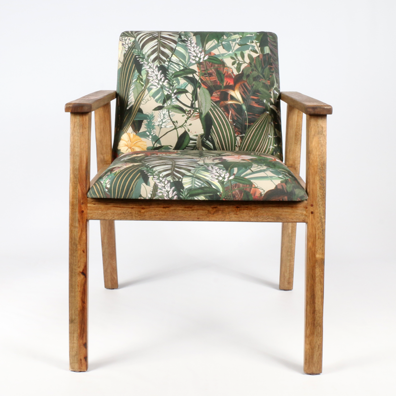 Modern Tub Dining Chair