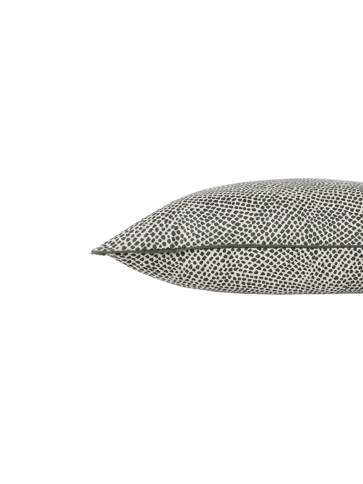 Migration Scatter in Grasslands - Low Stock