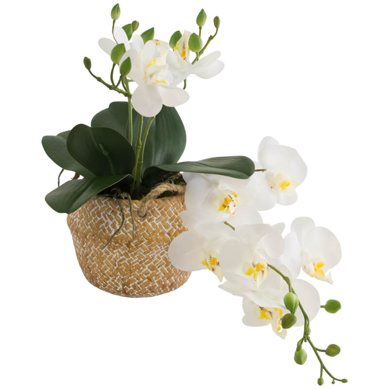 Real Touch Phalaenopsis Orchid 01