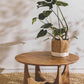 Pinnacle Coffee Table in Nutmeg
