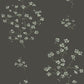 Stuart Graham Wallpaper Ranges