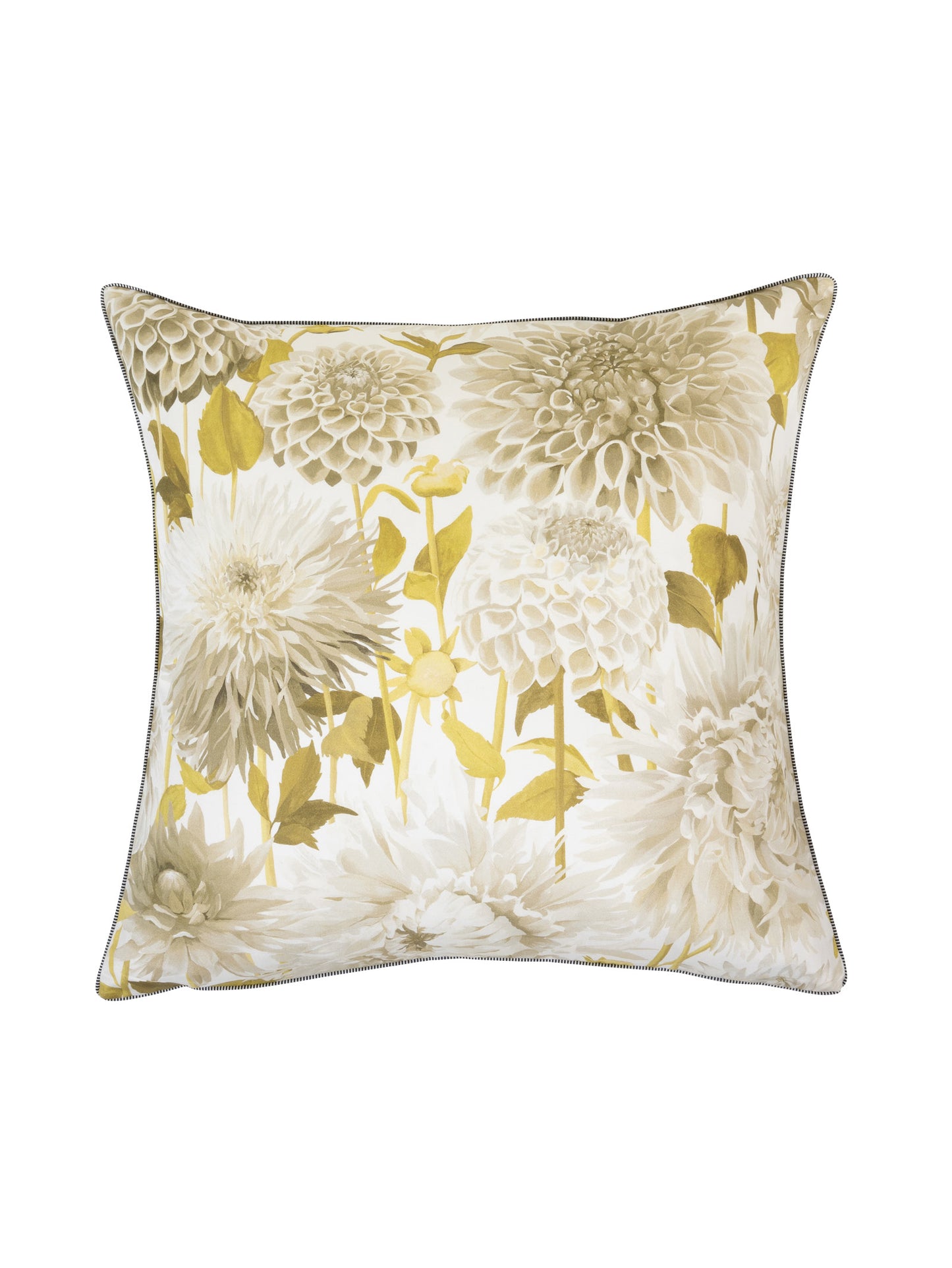 Dahlia Single Scatter in Herb - Out of Stock Custom Order